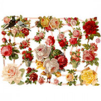 Vintage-Glanzbilder, Blatt 16,5x23,5 cm, Nostalgische Rosen, 3Bl. [HOB-19328]