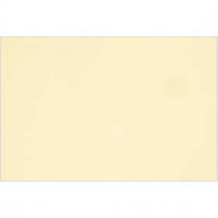 Französischer Karton, A4 210x297 mm,  160 g, Lily, 1Bl. [HOB-294110]