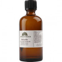 Anisöl, 100ml [HOB-71201]