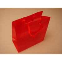 Geschenktaschen 16x7,6x16cm mit Trageschnüren (10 Stück) [G66RD1]
