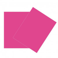 Glückwunschkarten Rosa 21,6x27,9cm (50 Stück) [PC408]