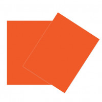 Glückwunschkarten Orange 21,6x27,9cm (50 Stück) [PC409]