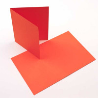 Glückwunschkarten Orange 14x10,8cm (50 Stück) [PC209]