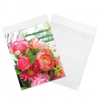 Klappenbeutel 21,4x22,7cm Hochtransparent (100 Stück) [B108SPC]