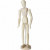 Gliederpuppe, H 30 cm, Frau, 1Stck [HOB-22162]