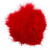 Federn, Größe 5-12 cm, Rot, 15Stck. [HOB-51696]