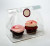 Beutel-Set für 2 Cupcakes 17,8x10,2x22,9cm mit Bodenblatt (100 Stück) [CBG5]