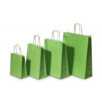 Papiertragetaschen Grün 26+12x35cm Kraft 90 Gramm (50 Stück) [PAM2635GR]