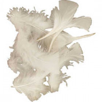 Flauschfedern, Größe 7-8 cm, Weiß, 500g [HOB-51662]