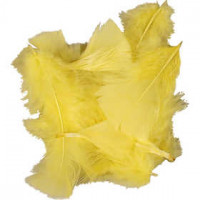 Flauschfedern, Größe 7-8 cm, Gelb, 500g [HOB-51664]