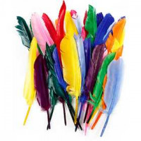 Federn, L 17-20 cm, Sortierte Farben, Ente, 250sort. [HOB-51675]