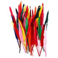 Federn, L 29-31 cm, Sortierte Farben, Gans, 100sort. [HOB-51677]