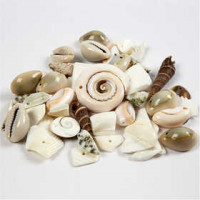 Strandmuschelperlen, Größe 9-40 mm, Lochgröße 1-1,5 mm, 120g [HOB-631881]