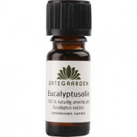 Eukalyptusöl, natürlich, 10ml [HOB-70217]