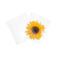 Klappenbeutel 22,1x21,7cm Hochtransparent (100 Stück) [B8X8M]