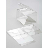Klarsichtschachteln 8,9x8,3x6cm Kristallklar mit Automatikboden (25 Stück) [PLB115]