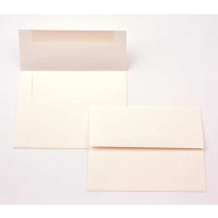 Umschläge Natürlich 13x9,2cm (50 Stück) [EC302]